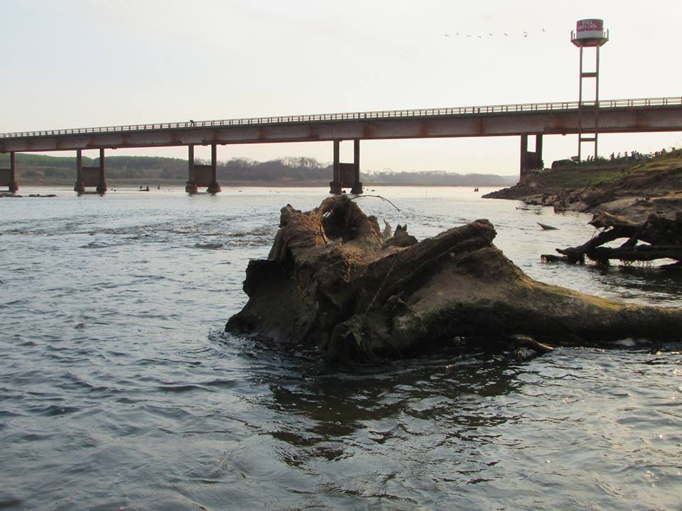 Prefeitura de Colômbia  alerta pescadores para retirada do “Protocolo de  Licença”