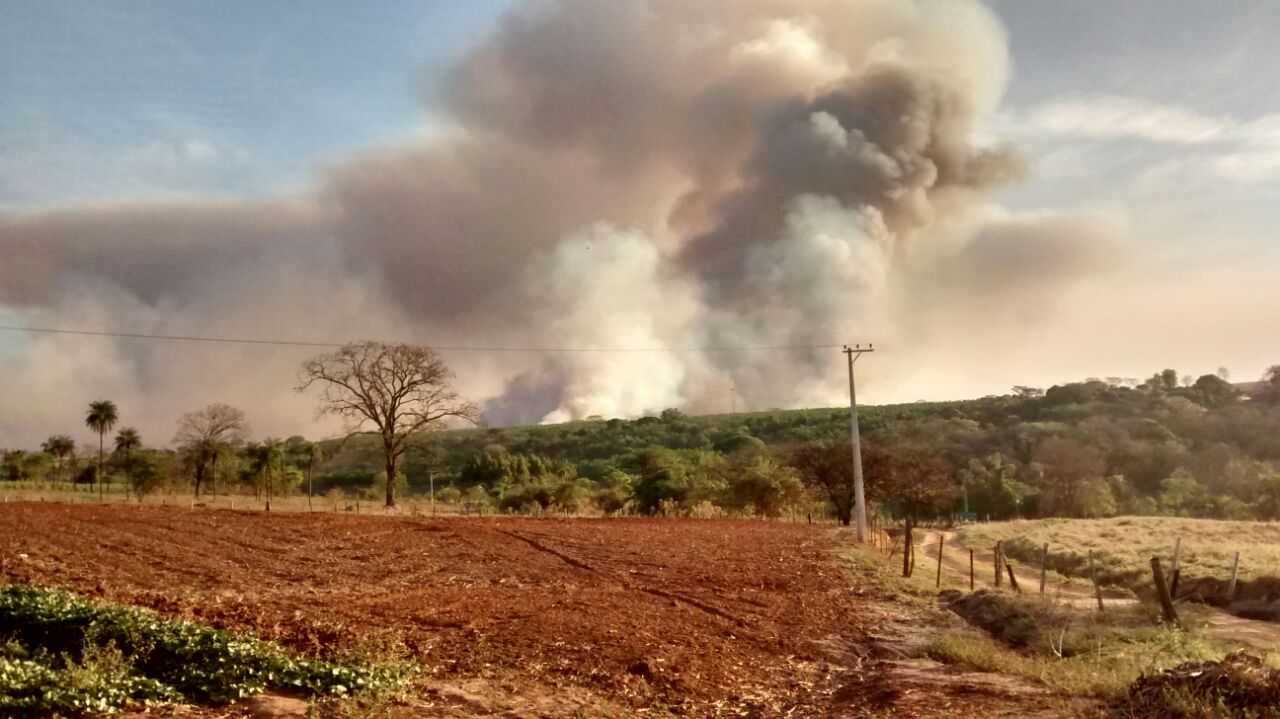 Incêndios atingem áreas de vegetação em Barretos