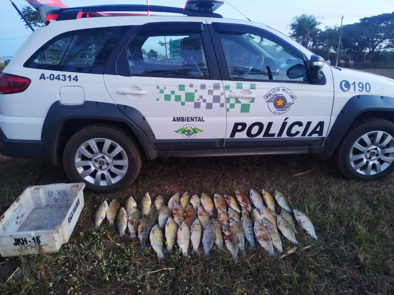 Polícia Ambiental aborda pescador profissional com 27 kg de peixes, com tamanho inferior ao permitido