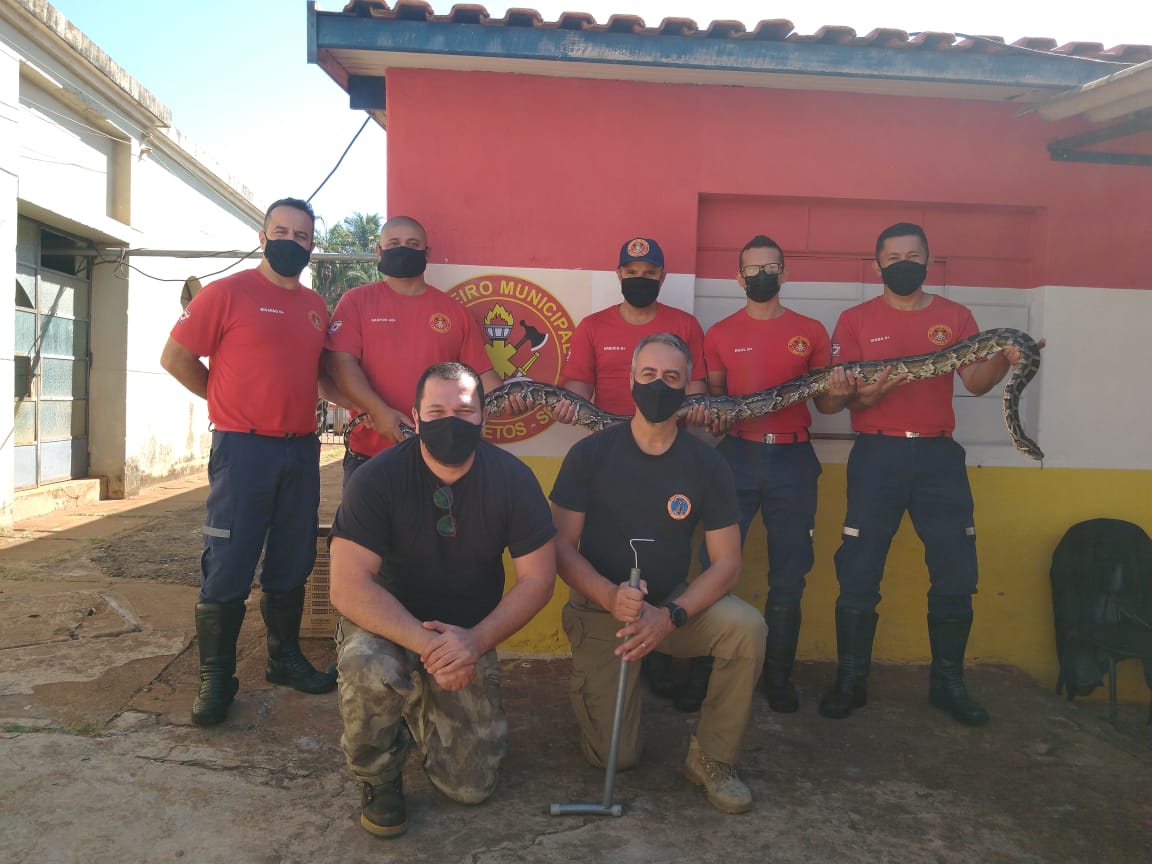 Bombeiros municipais participam de curso de primeiros socorros a vítimas de animais peçonhentos