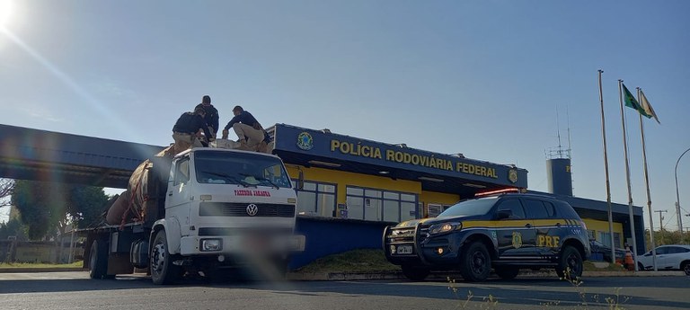 Polícia Rodoviária Federal prende mais de 5 toneladas de maconha em Frutal