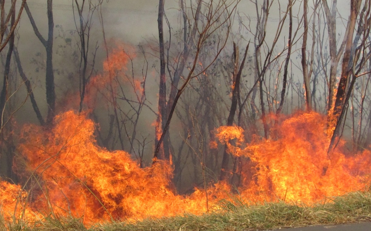 Incêndio de grandes proporções atinge canaviais próximo da área urbana de Colômbia