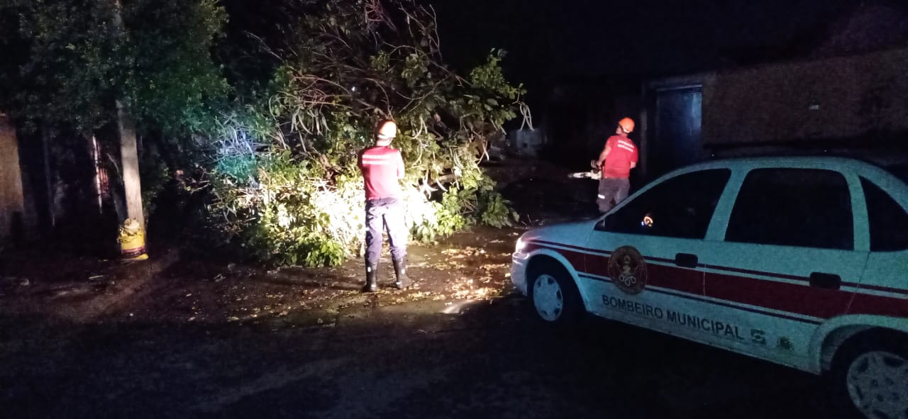 Defesa Civil atendeu ocorrências de queda de árvores após tempestade de poeira