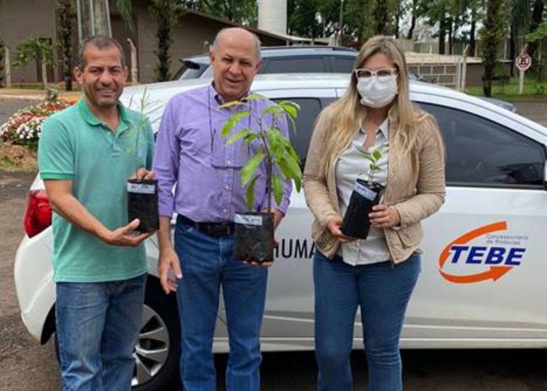 Parque do Peão  recebe mudas de árvores doadas pela TEBE