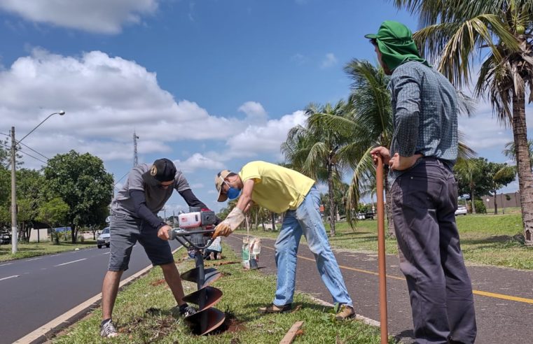 Projeto Vida Mais Verde plantou mais 350 árvores