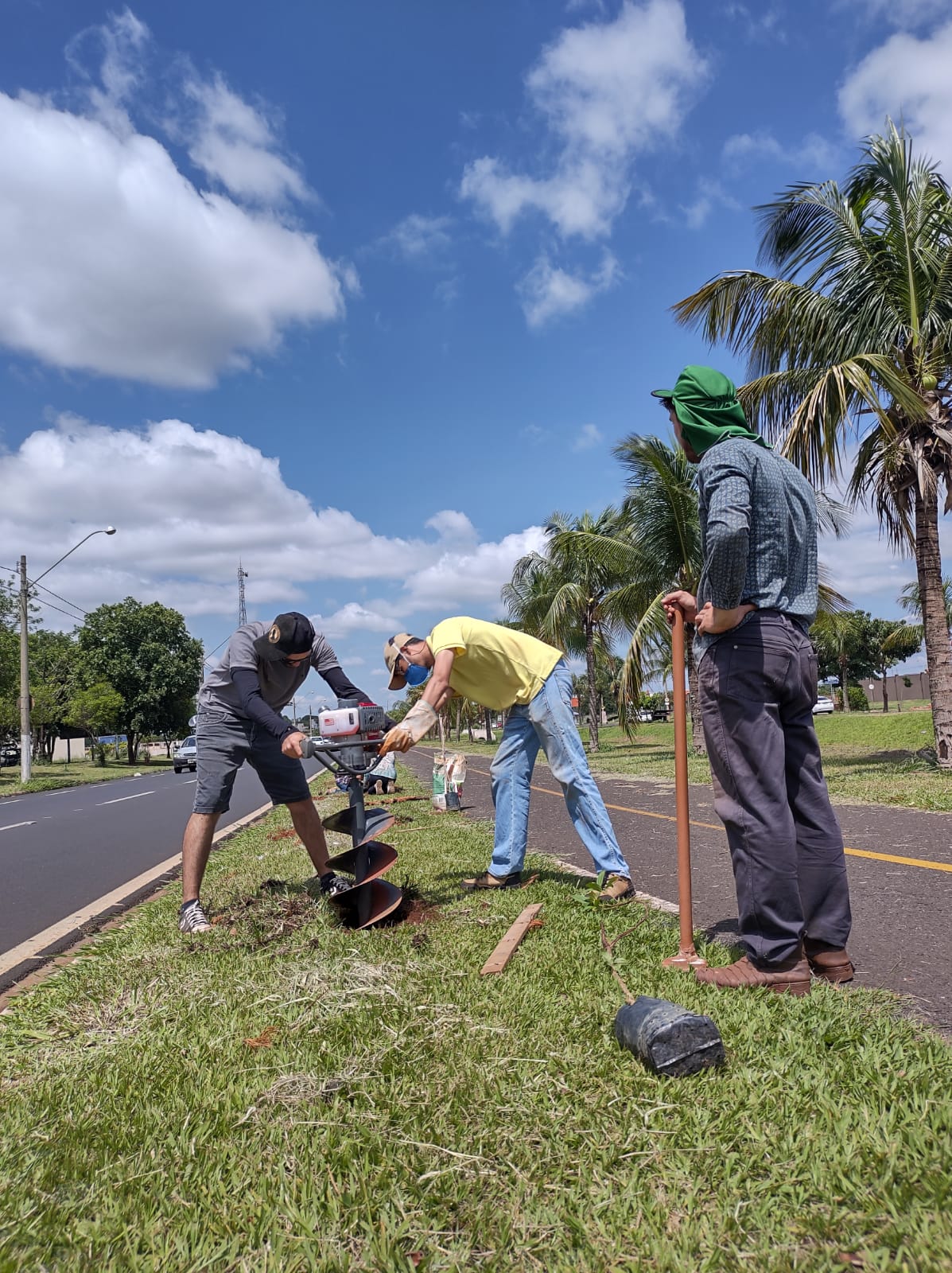 Projeto Vida Mais Verde plantou mais 350 árvores