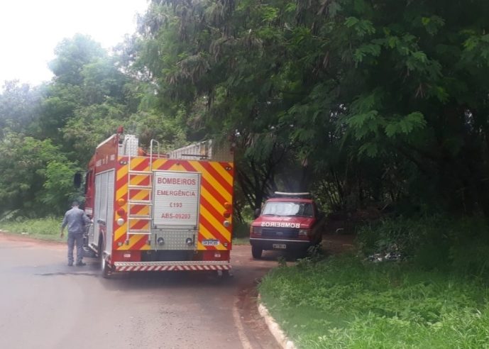 Bombeiros mantém buscas para localizar corpo de idosa desaparecida