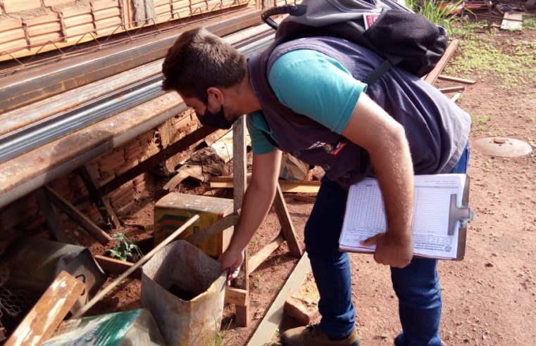 Prefeitura de Colina registra 11 casos de Dengue neste ano