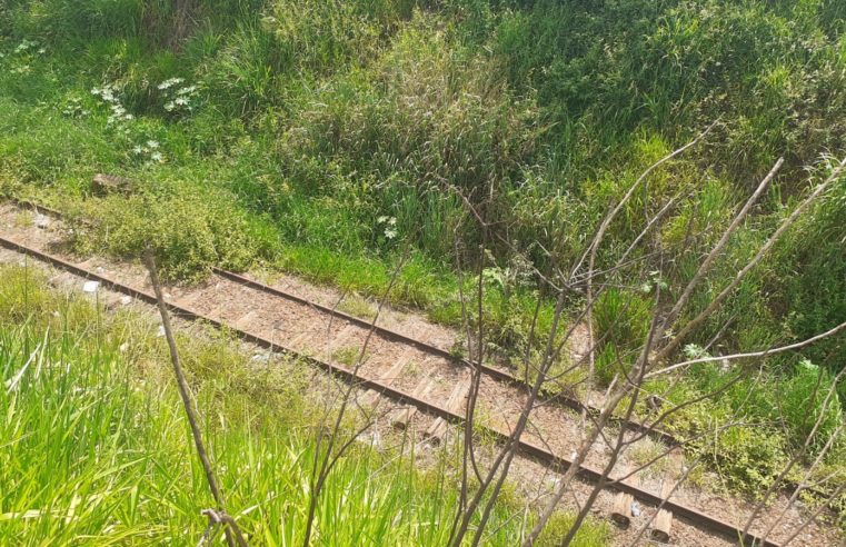 Reativação do traçado ferroviária está em estudos