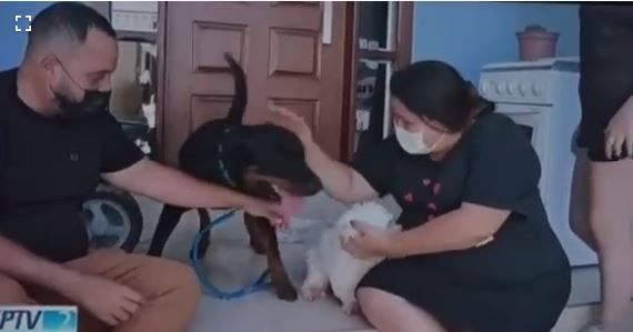 Cão rottweiler salva animais de pequeno porte durante temporal em Barretos