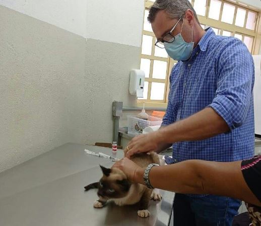 Colina prossegue com a vacinação antirrábica