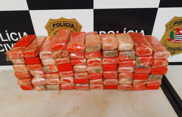 Homem é preso e 65 tijolos de maconha são apreendidos em Ribeirão Preto