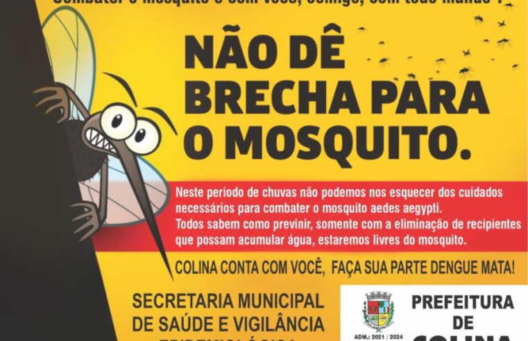 Avaliação de Densidade Larvária deixa Colina em alerta para a dengue