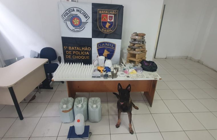 Operação Hércules detém 88 criminosos e recupera mais de 380 veículos no Estado