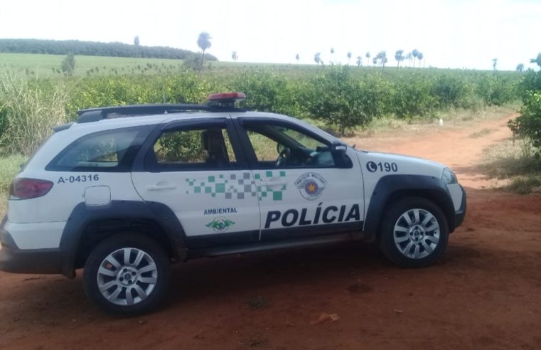 Polícia Ambiental aplica multa de R$18 mil  por corte de 63 árvores