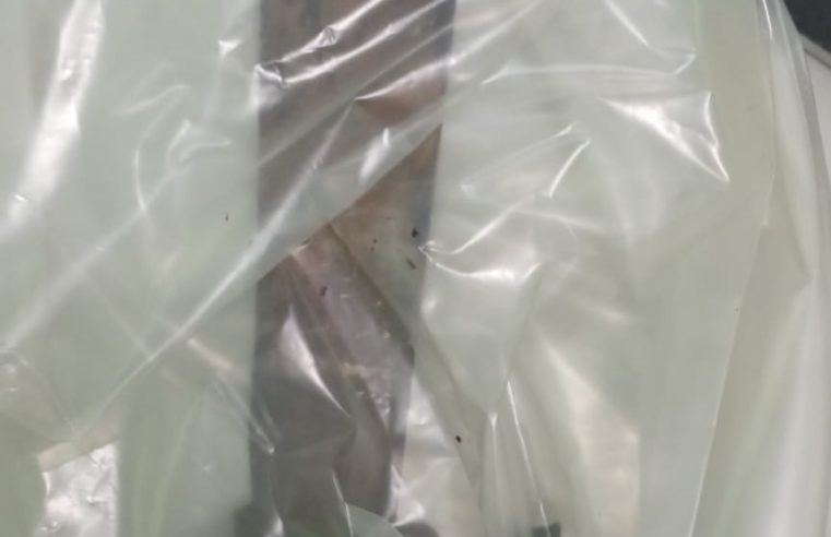 Autor de tentativa de homicídio é preso em flagrante