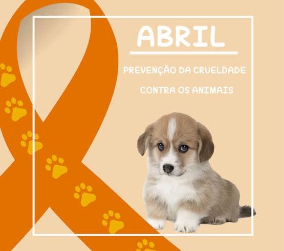 Voluntária de ONG destaca mês de prevenção contra crueldade de animais