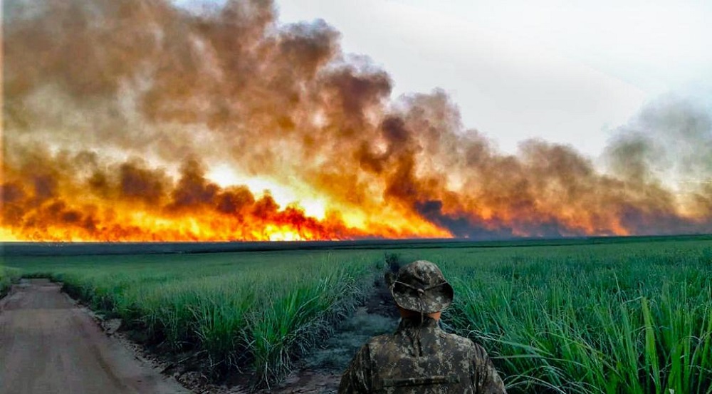 Governo de SP realiza ação com fogo controlado para minimizar danos de incêndios florestais