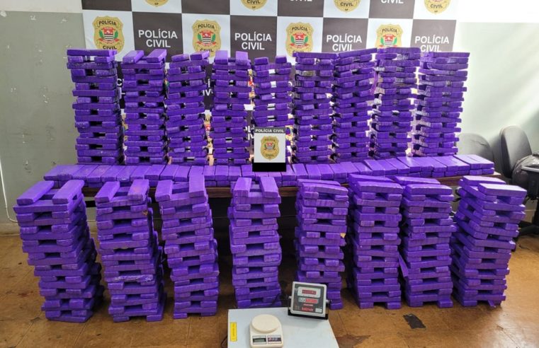 Deic de Ribeirão Preto encontra mais de meia tonelada de maconha enterrada em chácara