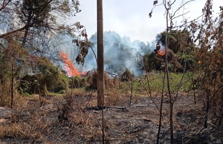Incêndio em vegetação foi combatido pelos Bombeiros Municipais