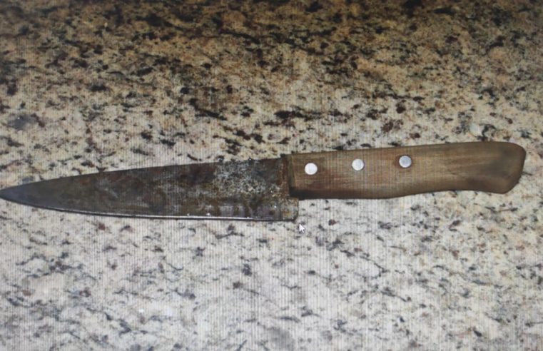 Autor de homicídio é  preso escondido em Alberto Moreira