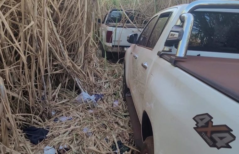 Polícia Civil recupera caminhonetes roubadas em rancho em Colômbia