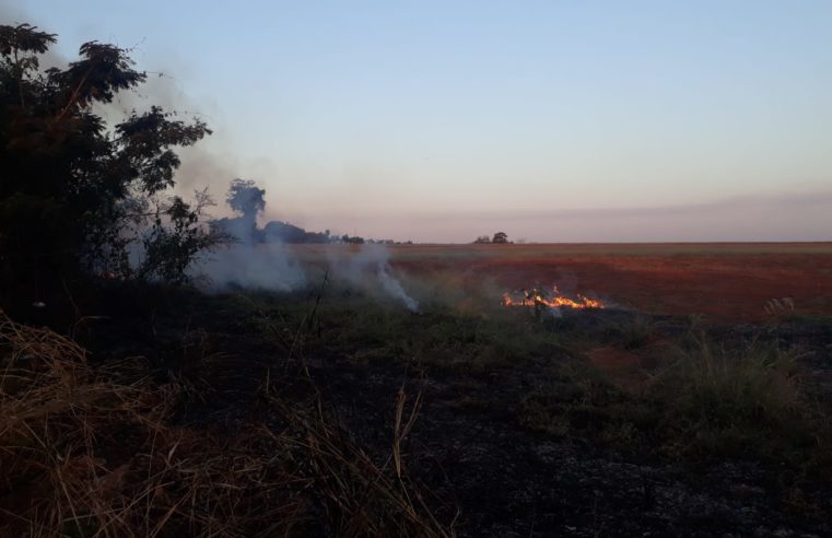 Bombeiros combateu incêndio em vegetação no Mais Parque