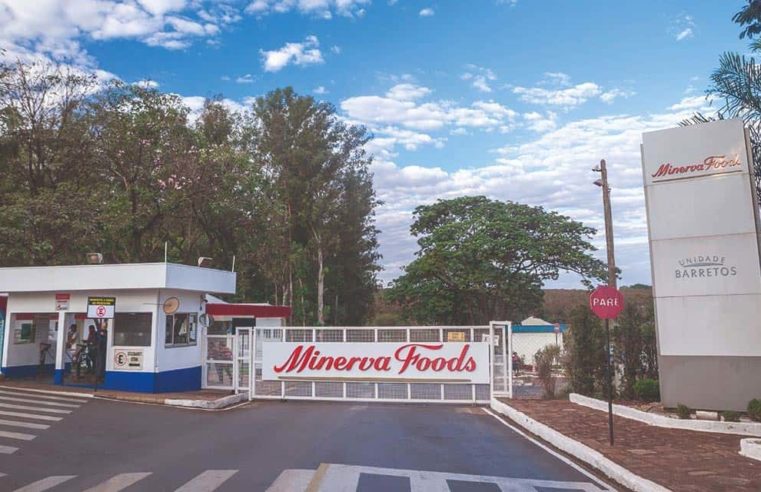 Minerva Foods registra 100% de conformidade ao Compromisso Público da Pecuária, segundo BDO RCS Auditores Independentes