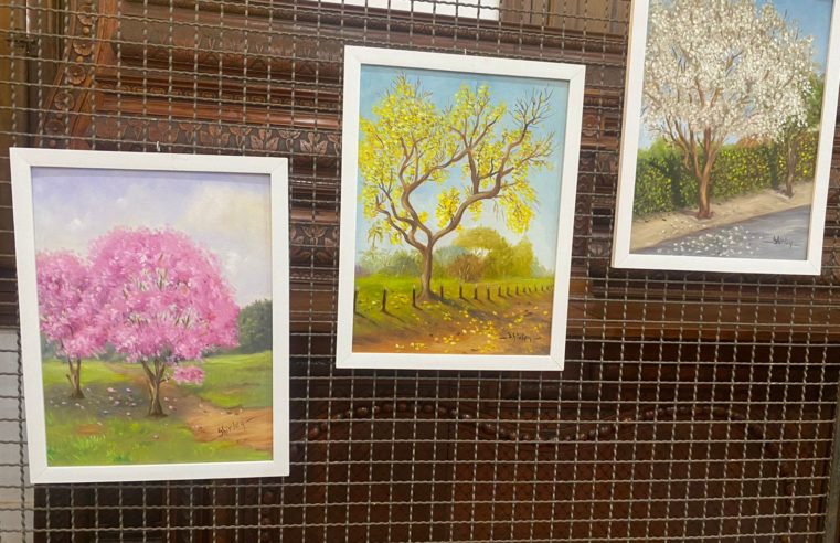 Museu Ruy Menezes recebe exposição Ipês do Chão Preto 2022