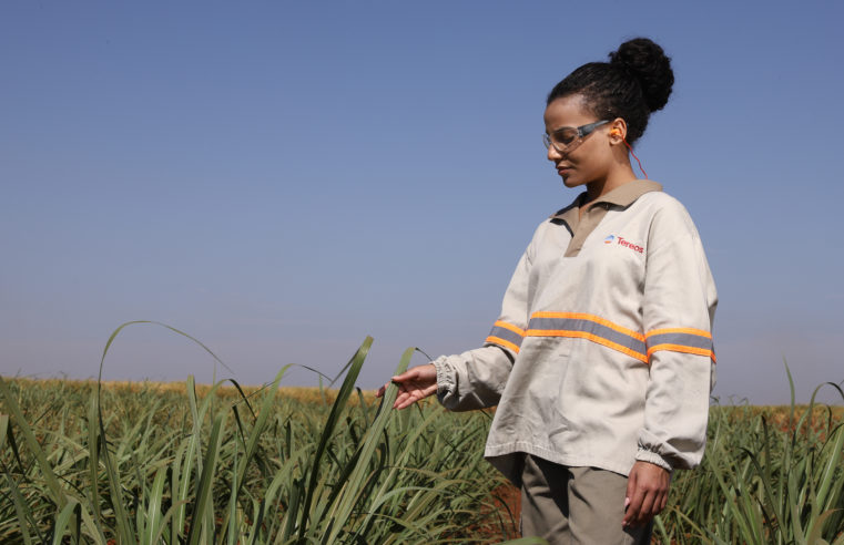 Tereos abre processo seletivo de jovens aprendizes exclusivo para mulheres