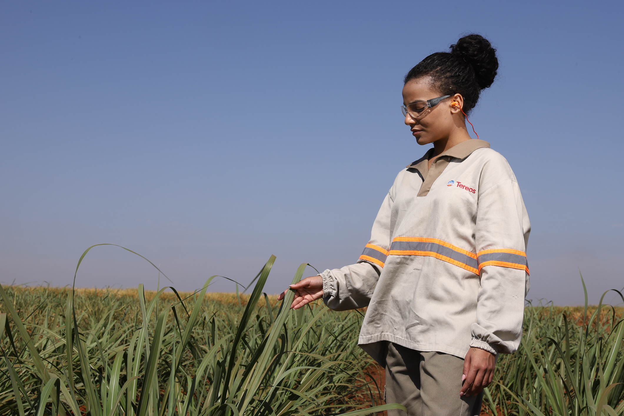 Tereos abre processo seletivo de jovens aprendizes exclusivo para mulheres