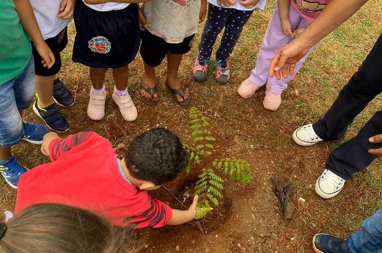 Dia da Árvore é comemorado em Colômbia com ações e plantio