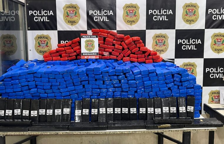 Denarc apreende 794 kg de maconha em Olímpia