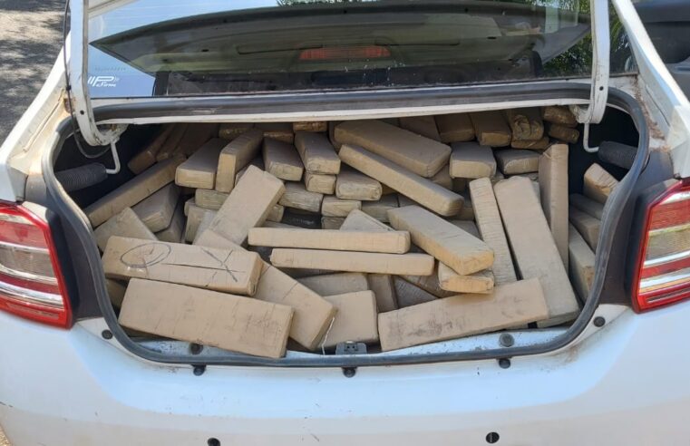 Polícia Militar Rodoviária apreende 728 kg de maconha em Ribeirão Preto