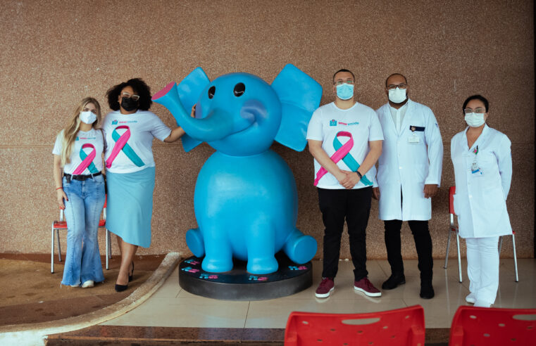 Solidariedade: AmorSaúde e Impala se unem  em prol do Hospital de Amor