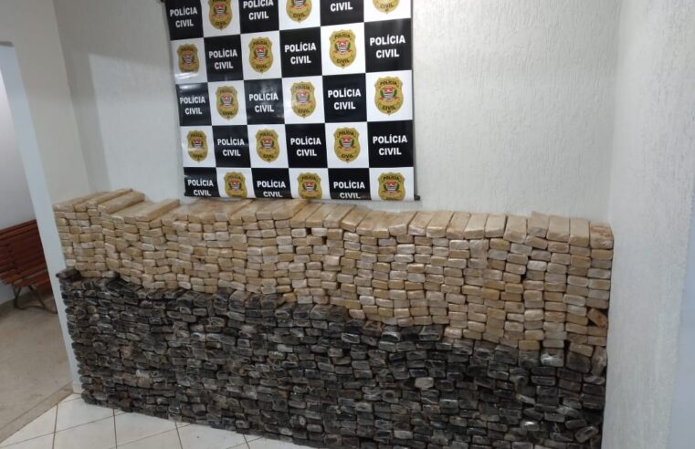 Polícia Civil de Colina localiza grande quantidade de drogas em ônibus