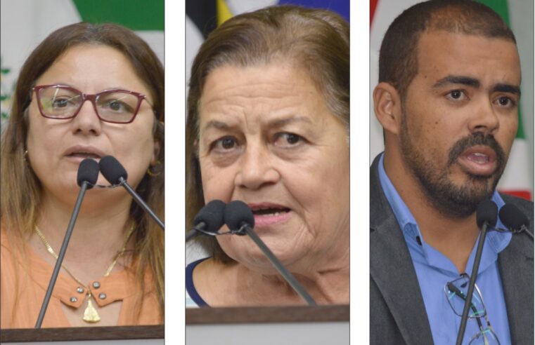 Vereadores cobram informações sobre Imesb, Banco de Ração e credenciamento de Uber