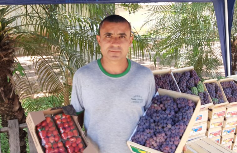 Comerciante oferece frutas para Ceias de Natal e Ano Novo