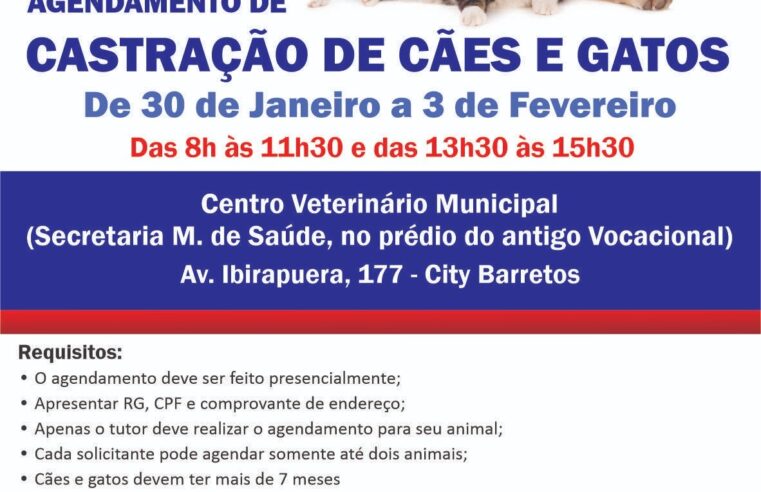 Prefeitura divulga período de agendamento para castração gratuita de cães e gatos