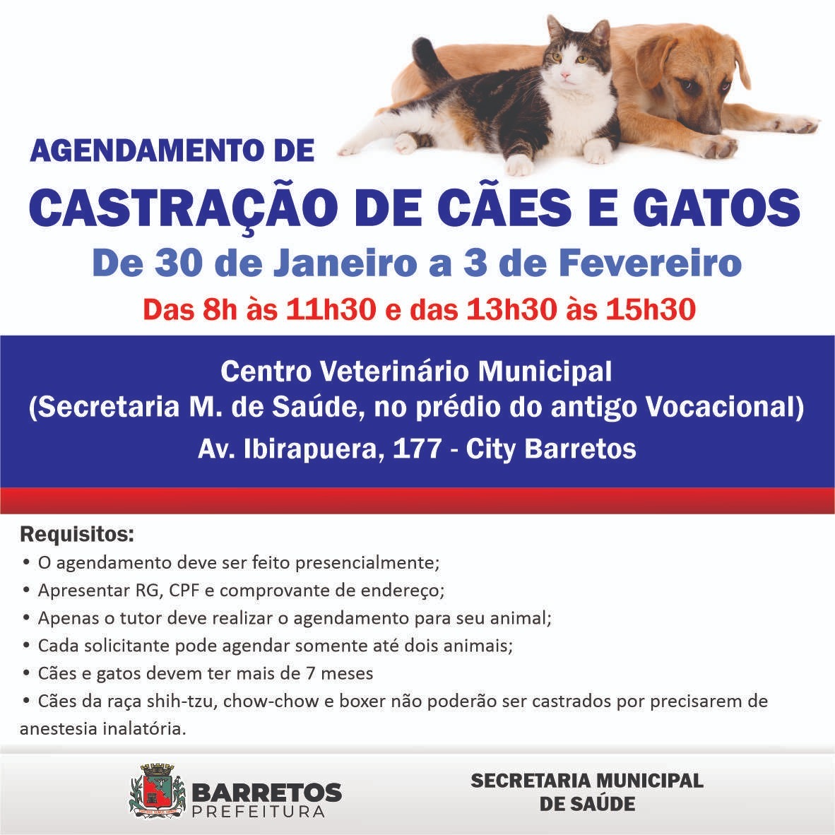 Prefeitura divulga período de agendamento para castração gratuita de cães e gatos