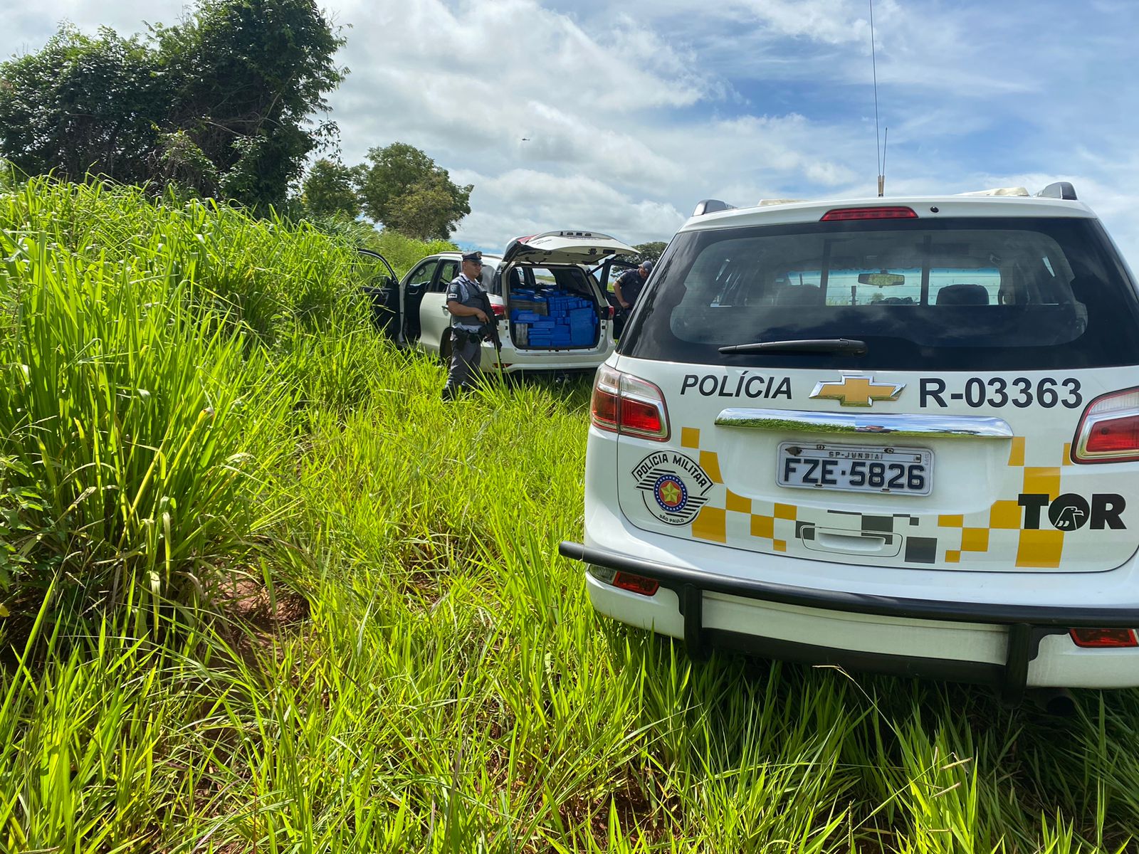 Carga de maconha é apreendida em rodovia