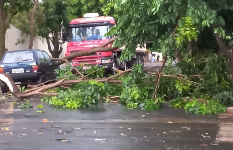 Chuva provoca estragos em Barretos mas sem registro de enchentes