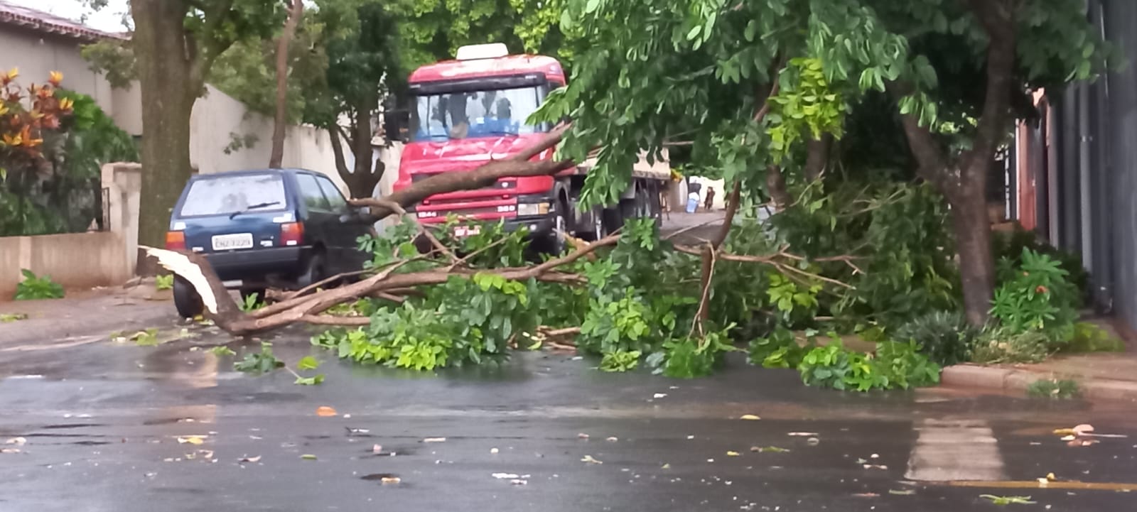 Chuva provoca estragos em Barretos mas sem registro de enchentes