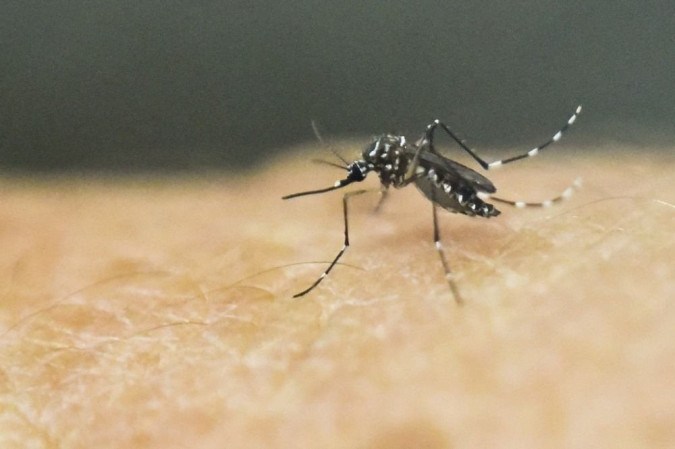 Saúde de Colina alerta para reforço nos cuidado à dengue