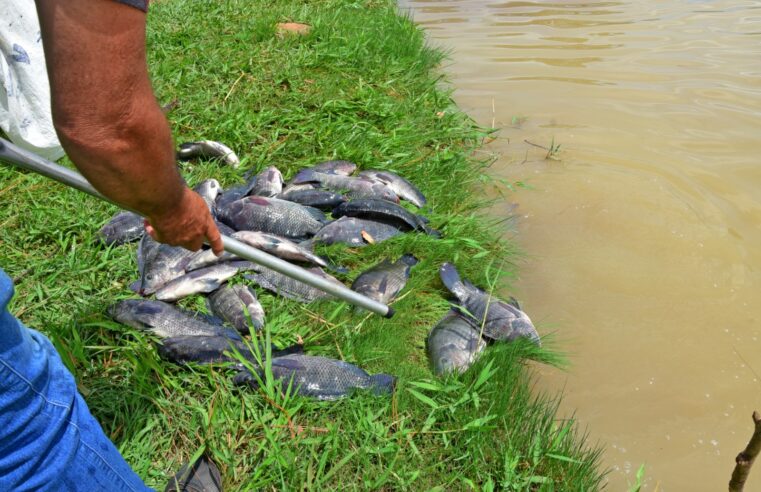 Barretos realiza o 4º Torneio Oficial de Pesca “Pirapesca” na Região dos Lagos neste domingo, dia 26