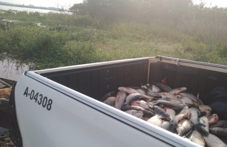 Polícia Ambiental faz apreensão redes e 120 kg de peixes  em Operação Pré Semana