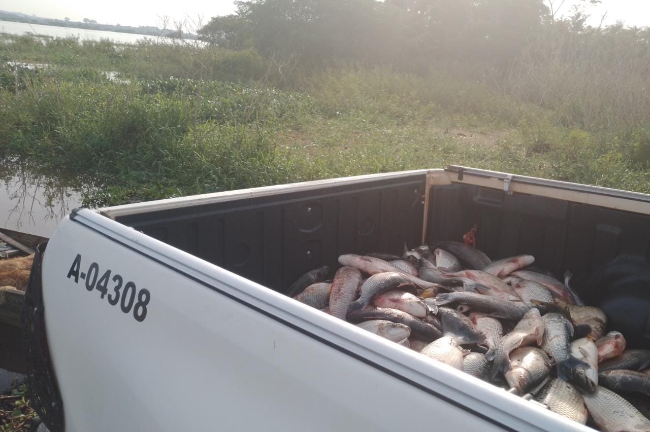 Polícia Ambiental faz apreensão redes e 120 kg de peixes  em Operação Pré Semana