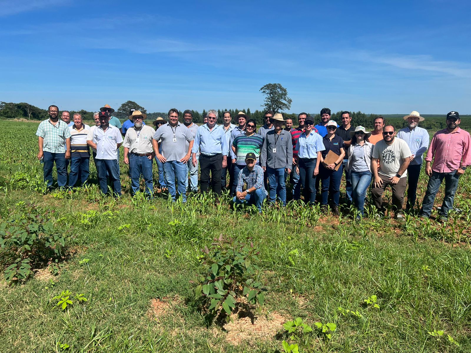 Agricultura participa de curso em Barretos no Instituto Federal