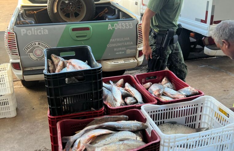 Grande quantidade de peixes são apreendidos em Colômbia pela Polícia Ambiental