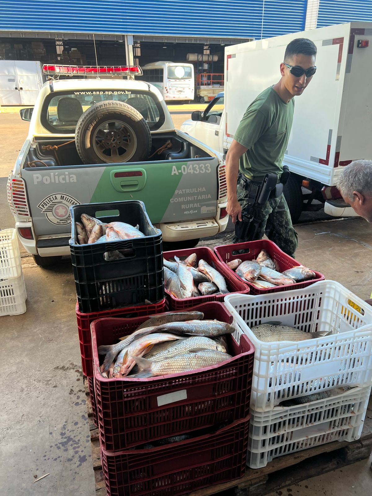 Grande quantidade de peixes são apreendidos em Colômbia pela Polícia Ambiental